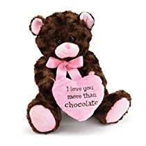 I Love you More Than Chocolate Valentines Day Heart Teddy Bear